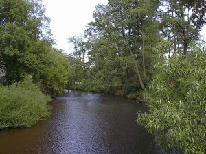 2001.08.07 16.47.41.jpg